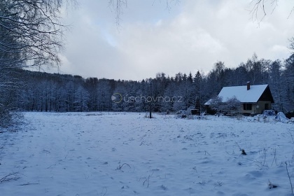 Chata  - Šolcův rybník - Jizerské hory
