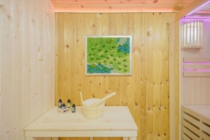 Chalupa s baz�nem - hrad Tol�tejn - Lu�ick� hory