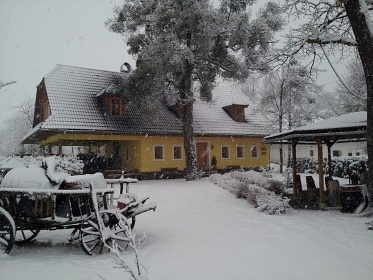 Chata s bazénem a wellness - Štiavnické vrchy