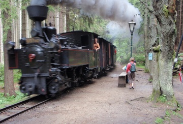 Chalupa �esk� Kanada - Kun�ak - ji�n� �echy