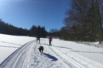Chaty bazén a sauna - Lipovské stezky - Ramzová