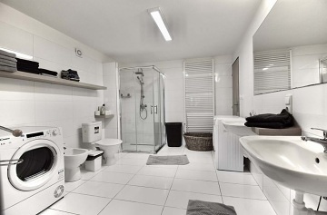 Roubenka wellness a bazén - Vysočina - Svratka