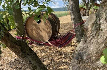 Glamping Les Království - Bílá Třemešná