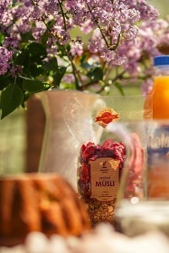 Wellness glamping - Treehouse u řeky - Sázava