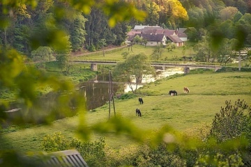Wellness glamping - Treehouse u řeky - Sázava