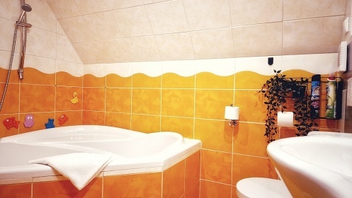 Chata bazn a sauna - Lesensk pl - Krun hory