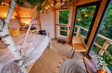 Glamping v korun�ch strom� - v�hled na Je�t�d