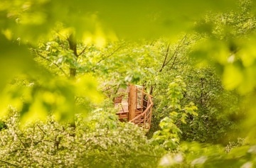 Glamping samota v korunch strom - Jetd