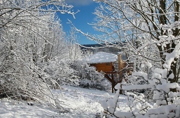 Glamping samota v korunch strom - Jetd