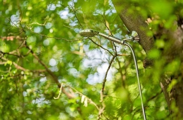 Glamping Treehouse a sauna - v�hled na Je�t�d