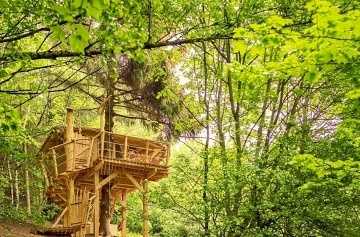 Glamping v lese - Treehouse a sauna - Je�t�d