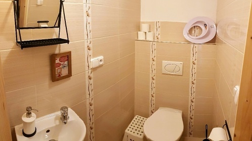 Roubenka s wellness - sauna - vířivka - bazén