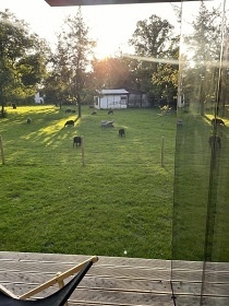 St�edo�esk� glamping a sauna - Tiny house Sedl�any