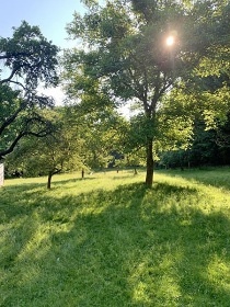 St�edo�esk� glamping a sauna - Tiny house Sedl�any