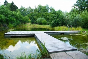 Chalupa a koupací jezírko - Černá hora - Krkonoše