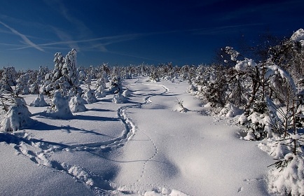 Horsk chata Krun hory - Bouk - ndr Flje