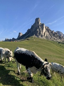 Apartmn v Dolomitech - Monte Civetta - Itlie