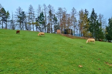 Glamping rsk vrchy - Tiny house Borovnice