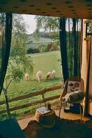 Glamping rsk vrchy - Tiny house Borovnice