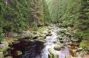 Apartmán Pasecká slať - Nové Hutě - Kvilda