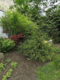 Chalupa Kobyl - Velk Pavlovice - Plava