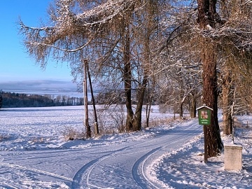Chalupa �ern� v Po�umav� - jezero Lipno - Frymburk