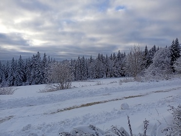 Chalupa na �umav� - Popeln� hora - Nov� Dv�r