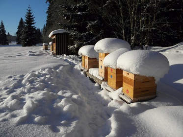 �umavsk� chalupa se saunou - Nov� Boubsk�