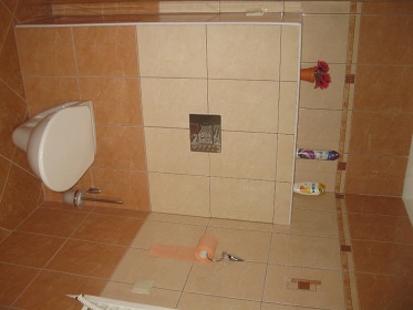 Chalupa s baz�nem u jezera Lipno - Horn� Plan�