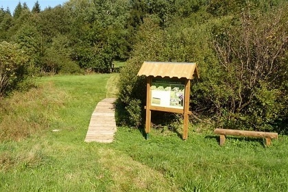 Chalupa �esk� les - Doma�lice - vrch �erchov