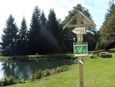 Chalupa �esk� les - Doma�lice - vrch �erchov