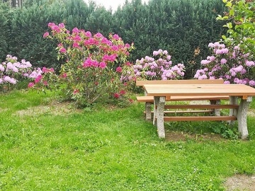 Chata s baz�nem - Hrub� Jesen�k - Moravice