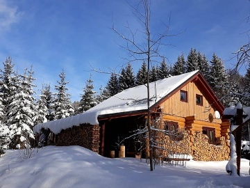 Wellness srub s bazénem - Jeseníky - Holčovice
