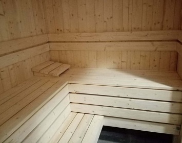 Wellness srub s bazénem - Jeseníky - Holčovice