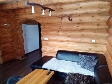 Wellness srub s bazénem - Jeseníky - Holčovice