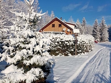 Wellness srub s bazénem - Jeseníky - Holčovice