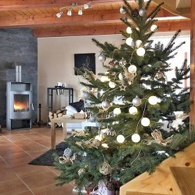 Chata s koupacm sudem - CHKO Bl Karpaty