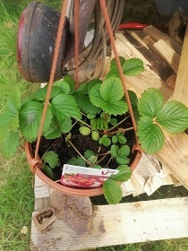 Glamping Medov� Maringotka - CHKO Pood��