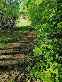 Glamping Medov� Maringotka - CHKO Pood��