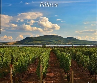 Chata bazn a vinn sklpek - Plava - Nov Mlny