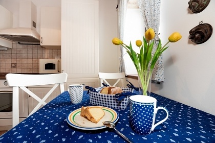 �umavsk� chalupa Plech� - sauna a kachlov� kamna