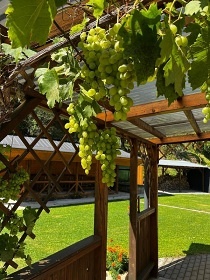 Chalupa Rychlebsk hory - Jesenky - Vpenn