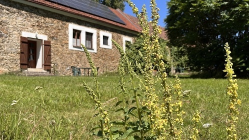 Venkovský apartmánový statek - J. Hradec