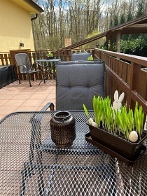 Apartmn Podbrady - Podbradsk jezero