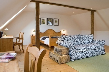 Chalupa s baznem - Orlick hory - Pastviny