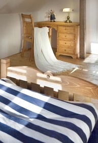 Chalupa s baznem - Orlick hory - Pastviny