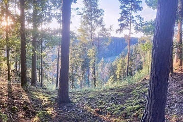 Tiny House v lese - Zborovsk� potok - Borovany