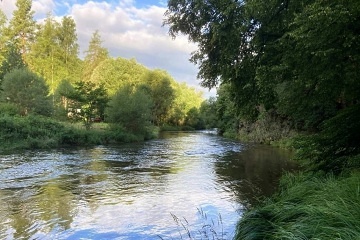Tiny House v lese - Zborovsk� potok - Borovany