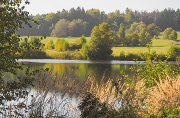 Wellness chata na vodn� hladin� - Vyso�ina