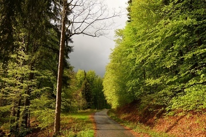 Rodinn� chalupa - Je�t�dsk� h�bet - And�lsk� Hora